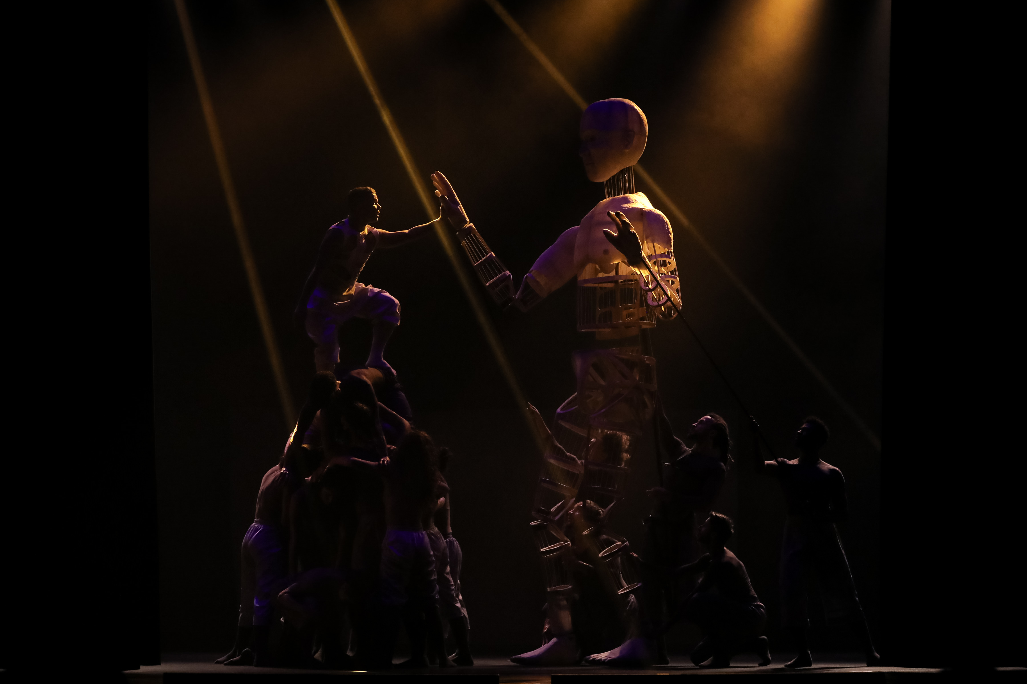 Balé Teatro Guaíra levanta a plateia e emociona no Festival de Dança de Londrina