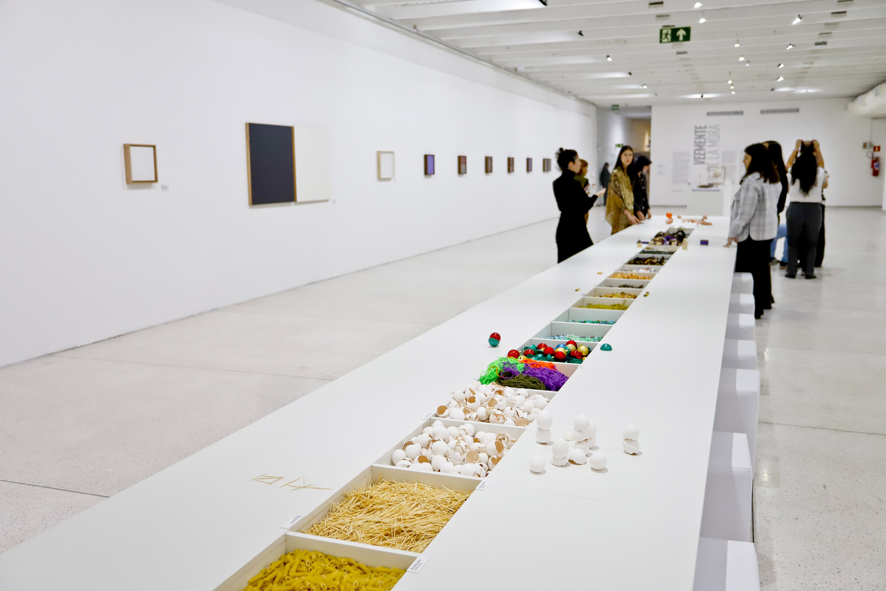 MON tem diversas opções de oficinas e mediações gratuitas em novembro