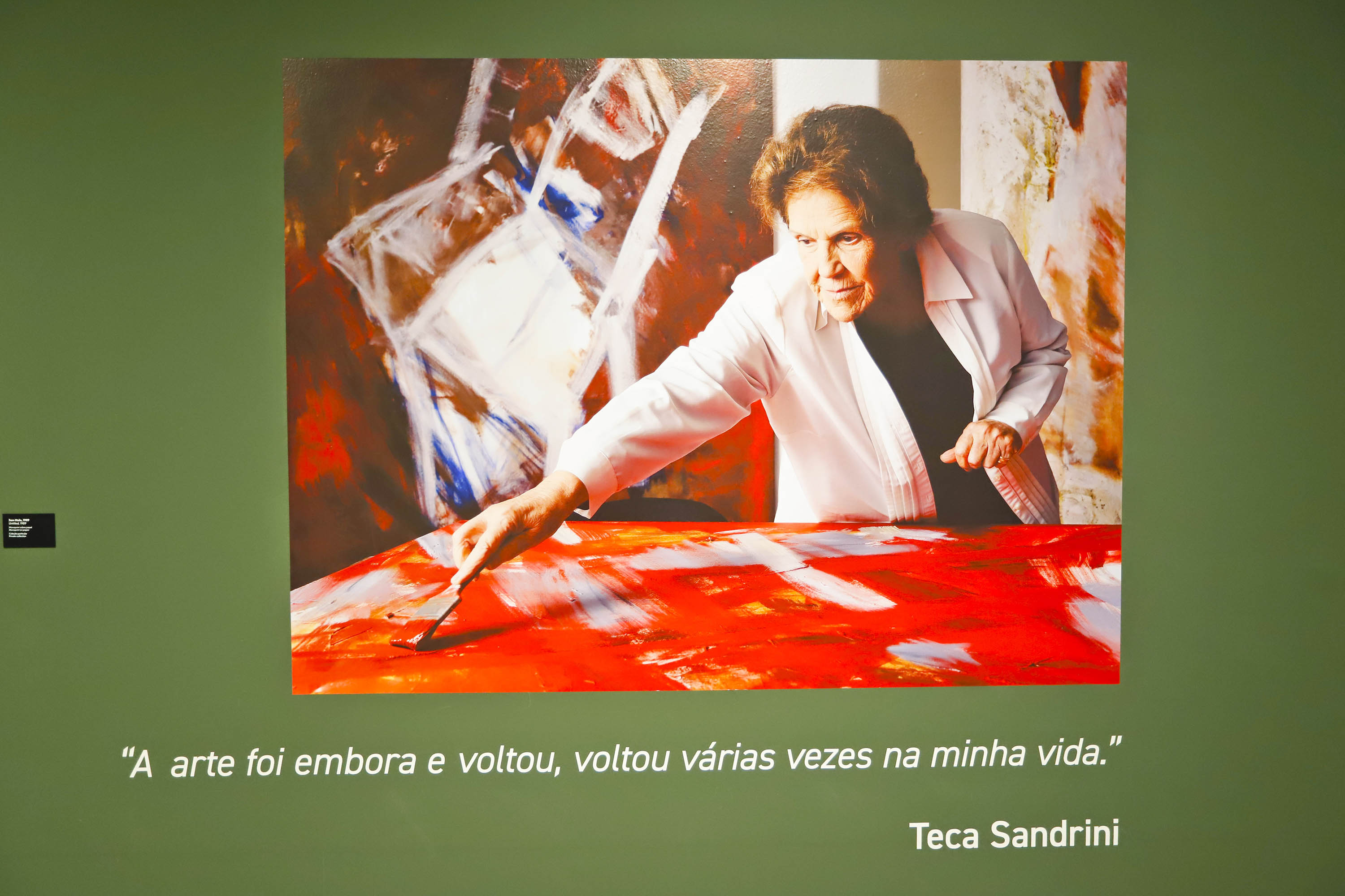 Exposição “Eterno Feminino”, da artista Teca Sandrini, entra na reta final no MON