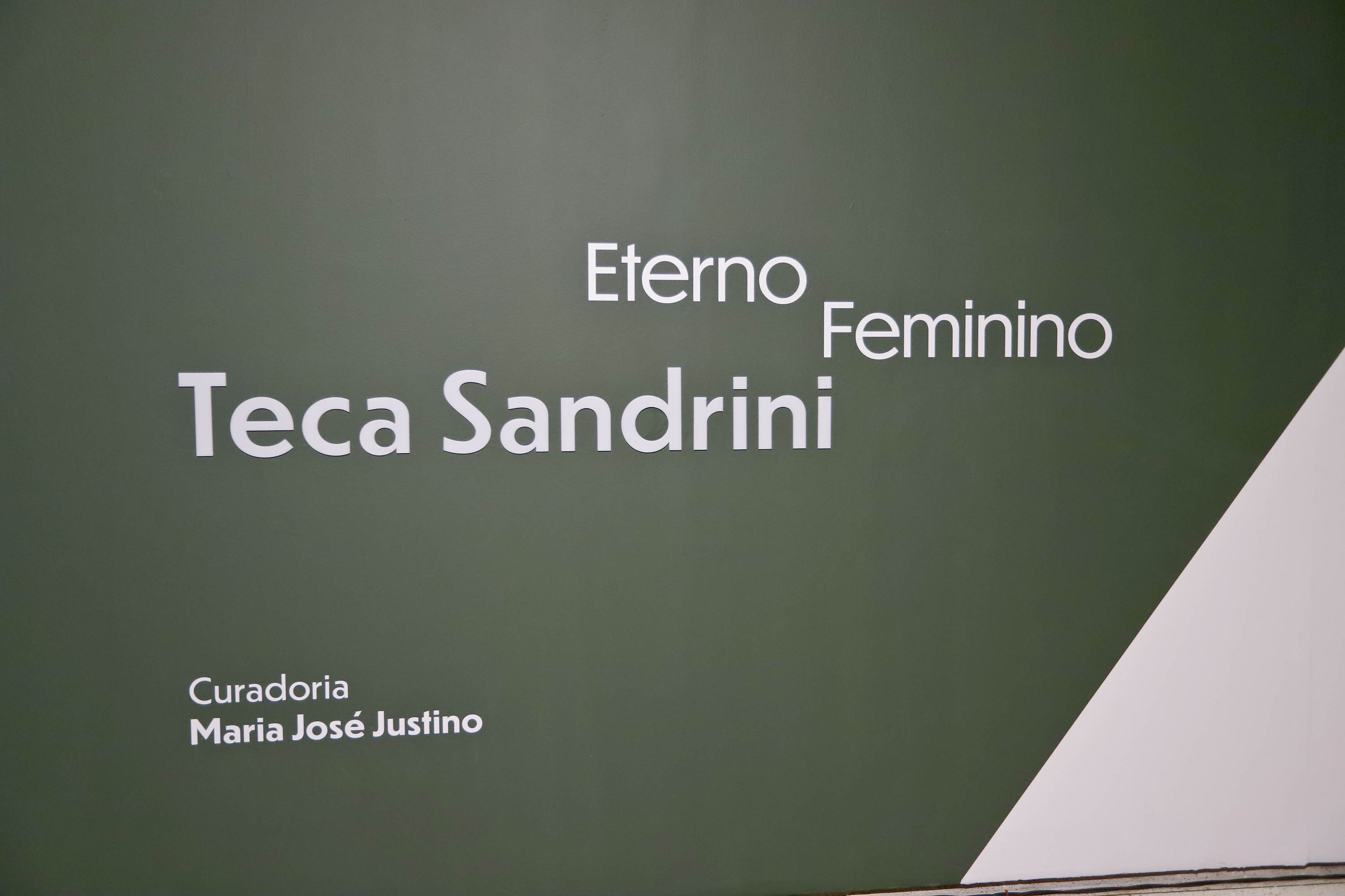 Exposição “Eterno Feminino”, da artista Teca Sandrini, entra na reta final no MON