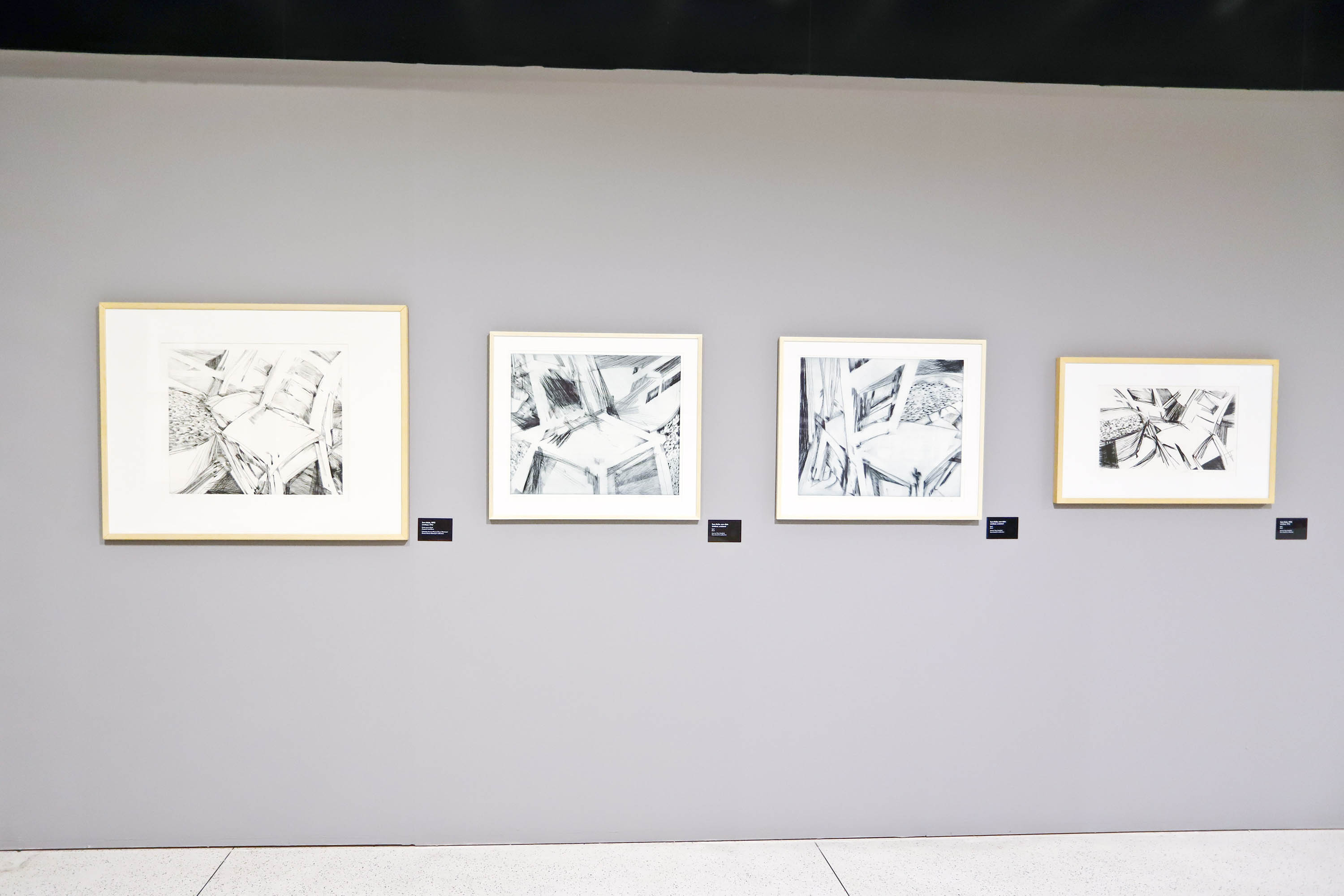 Exposição “Eterno Feminino”, da artista Teca Sandrini, entra na reta final no MON