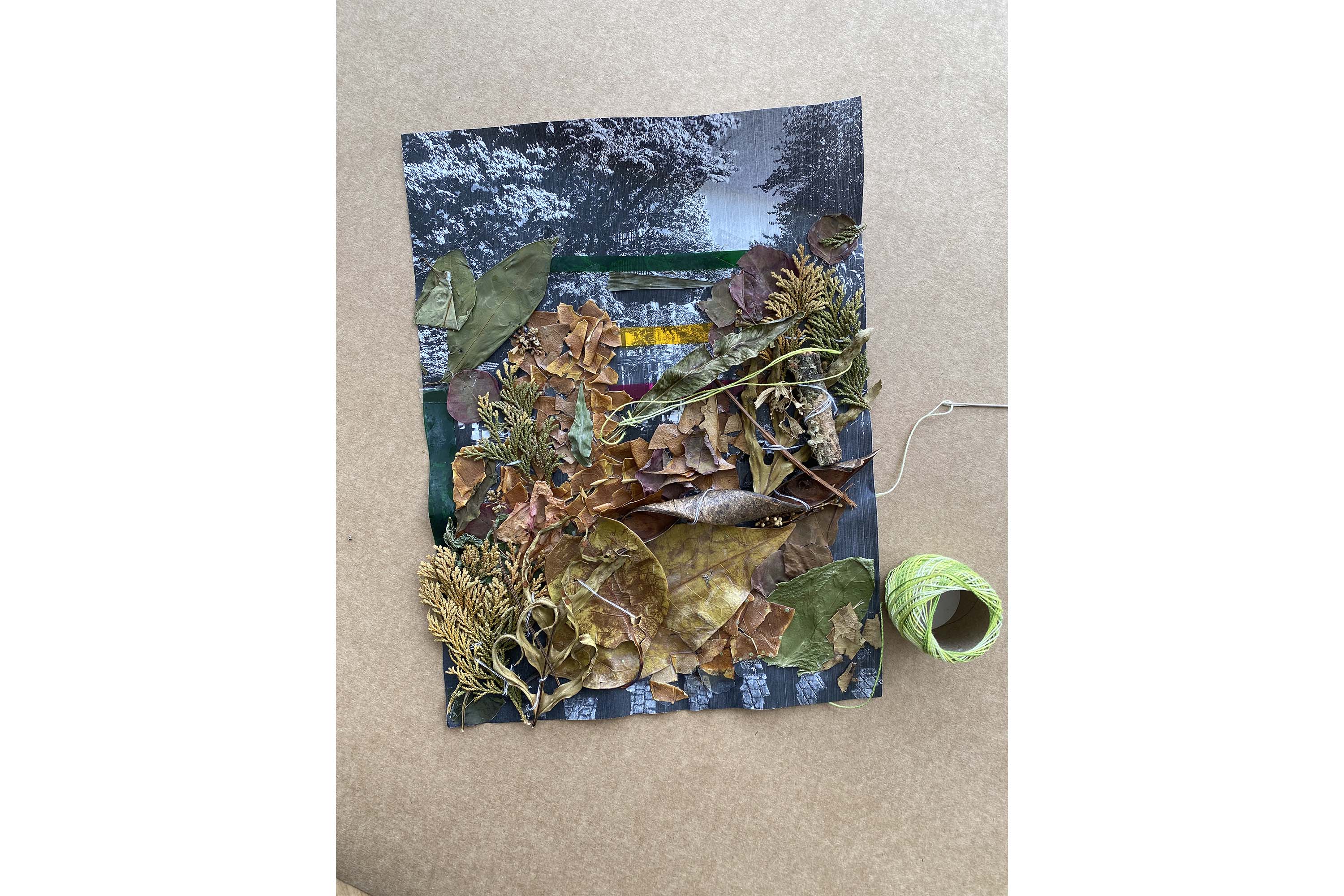 Com oficina de estêncil e interação com exposição, MON divulga agenda de dezembro