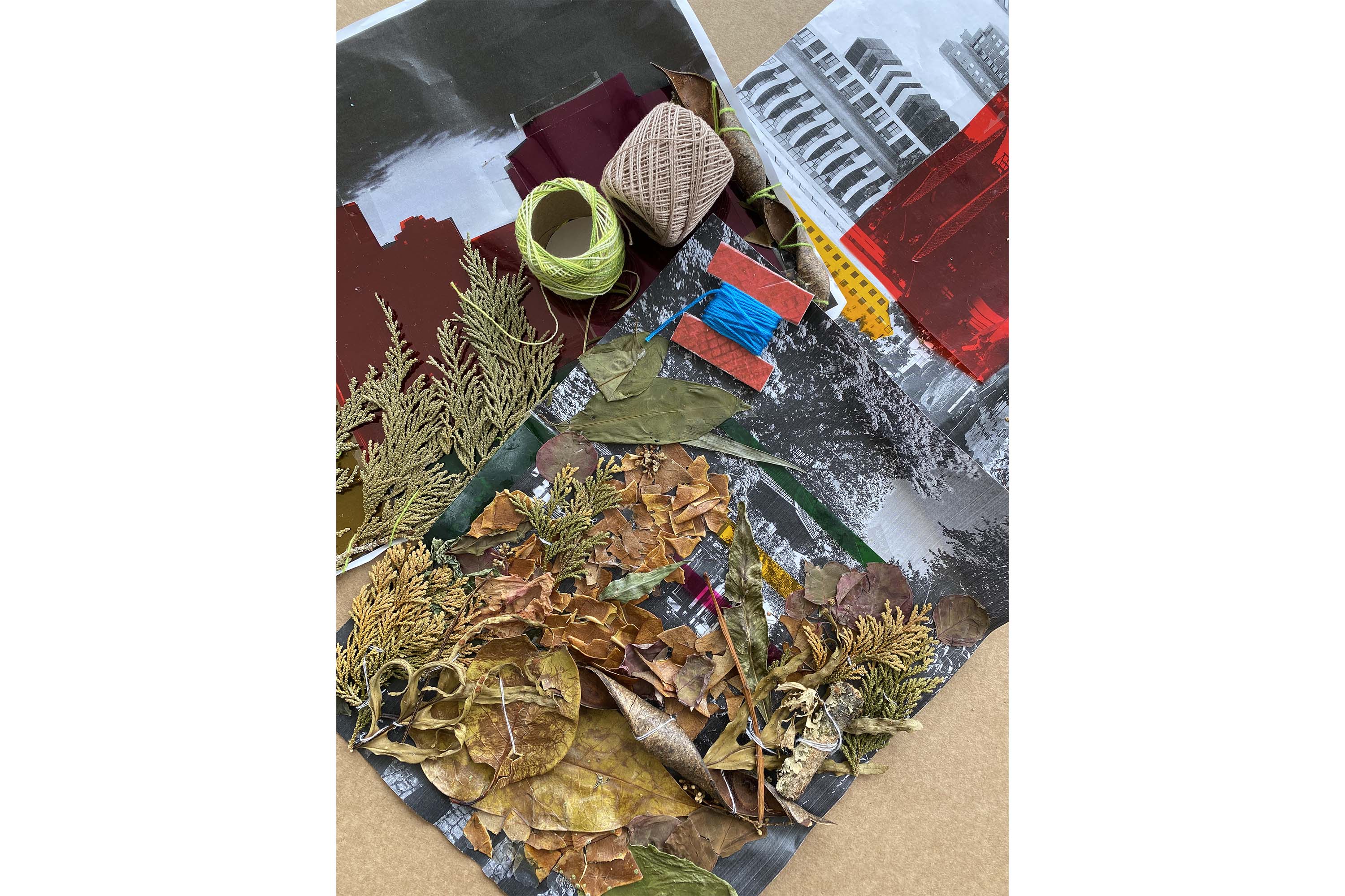 Com oficina de estêncil e interação com exposição, MON divulga agenda de dezembro