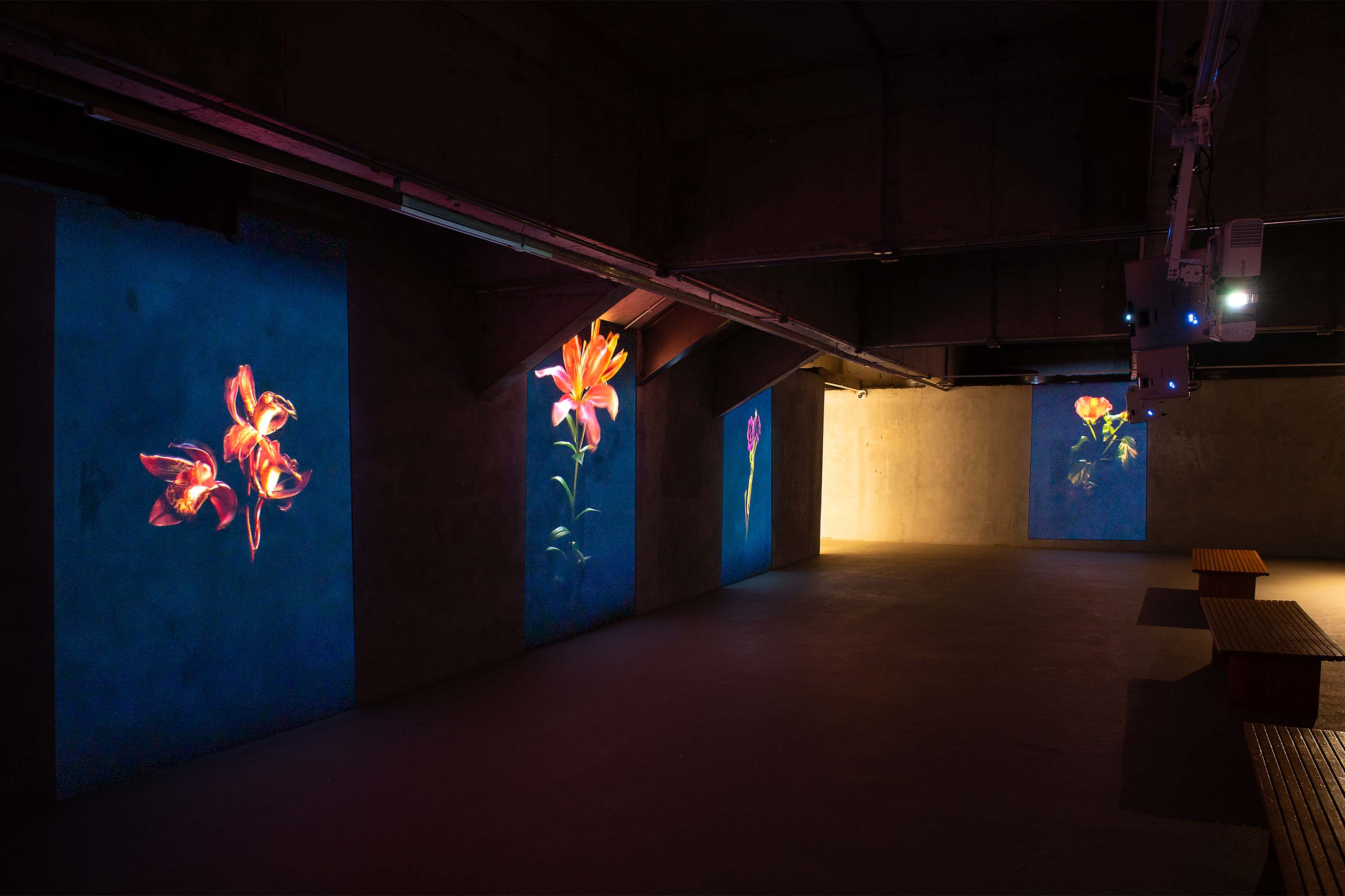 Com oficina de estêncil e interação com exposição, MON divulga agenda de dezembro