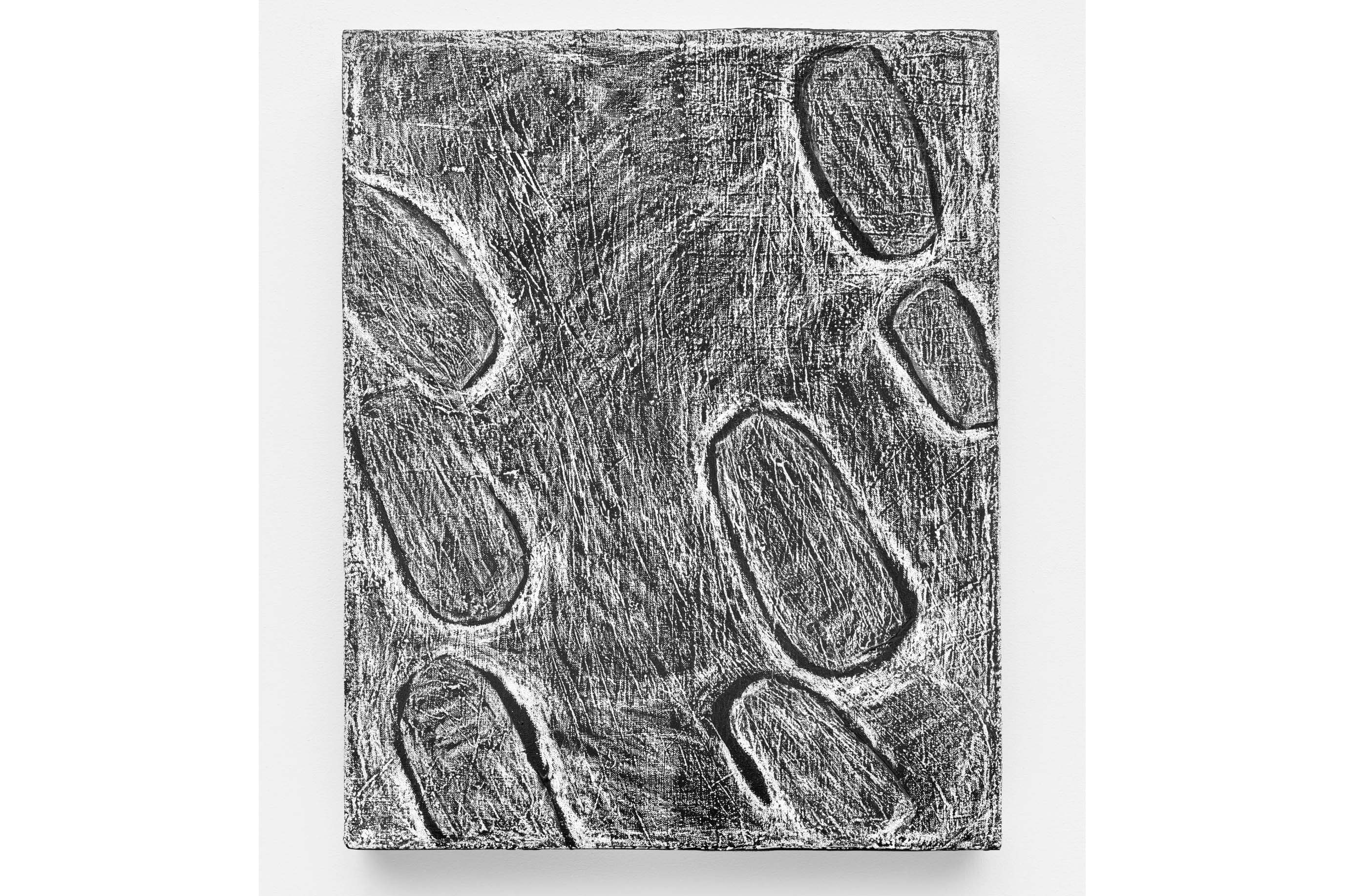 Com diferentes linguagens, MUPA inaugura exposição “Céu-Eclipse” em dezembro