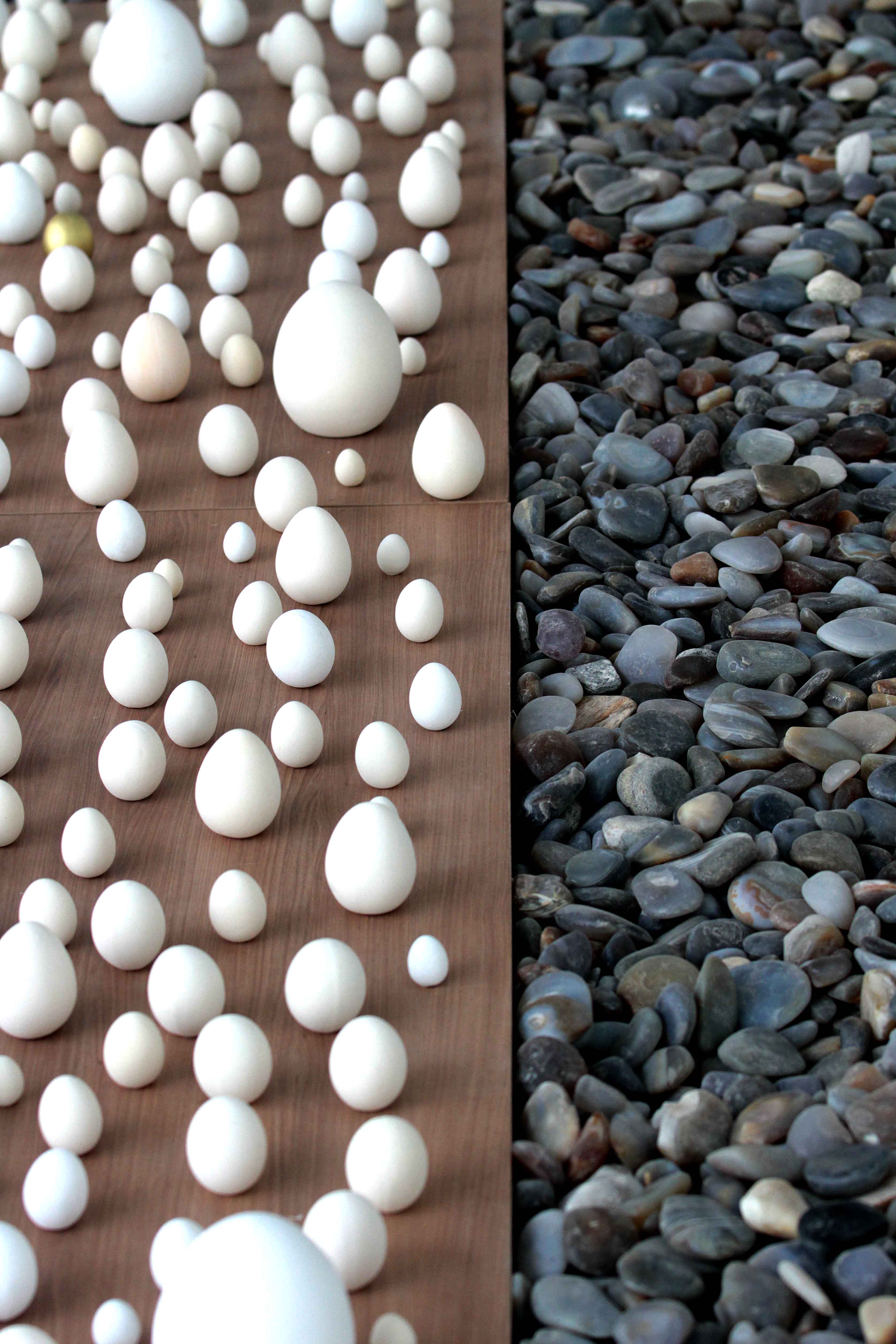 MAC Paraná encerra 2025 com retomada da sede histórica, expansão regional e programação comemorativa dos 55 anos