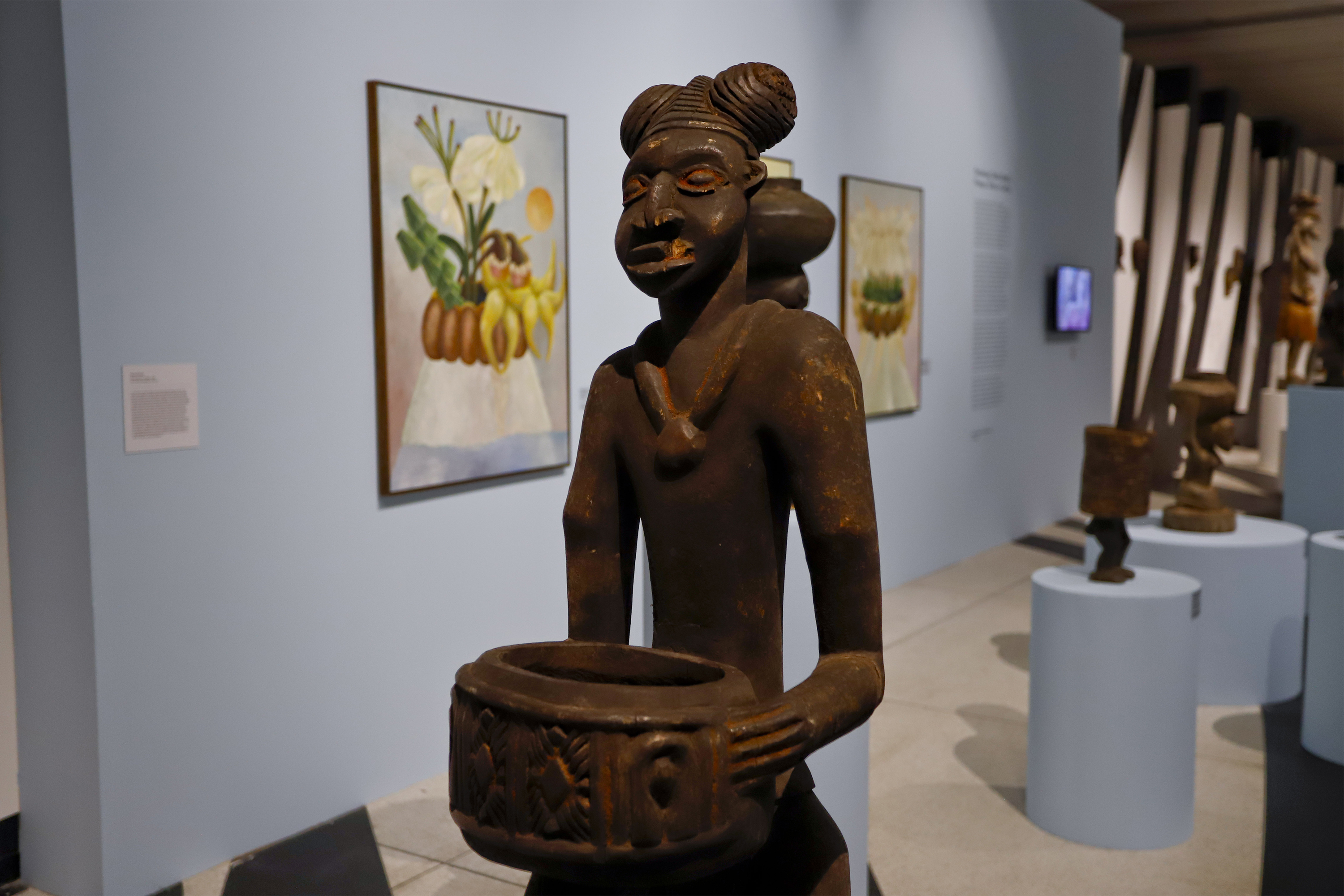 MON registra 720 mil visitantes em 2025: recorde histórico de público