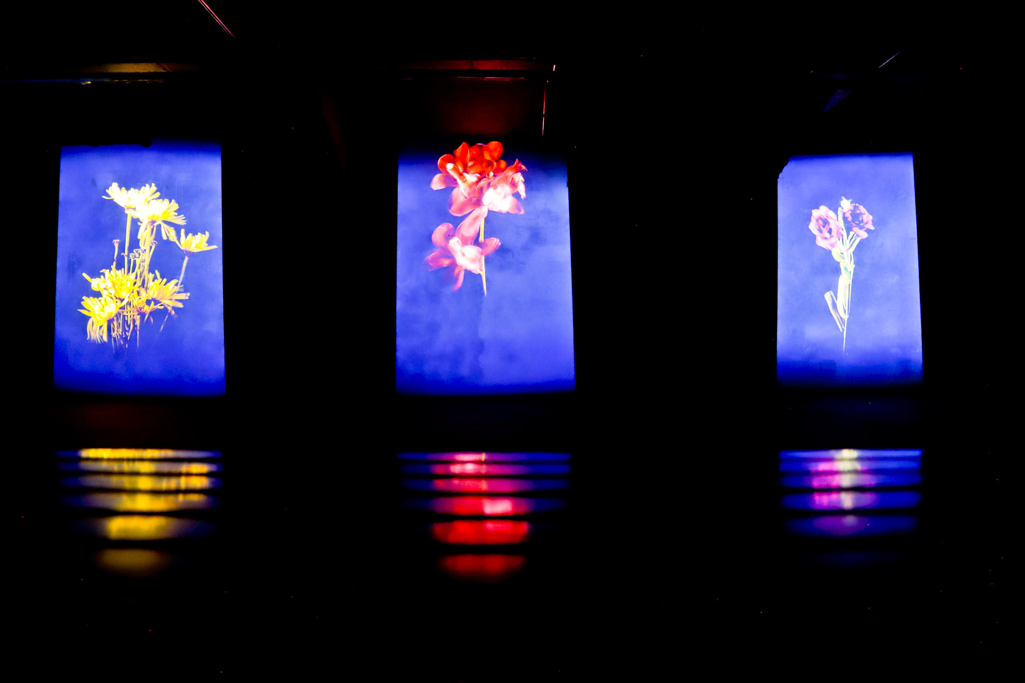 Ainda dá tempo: três exposições deixam catálogo do MON no domingo