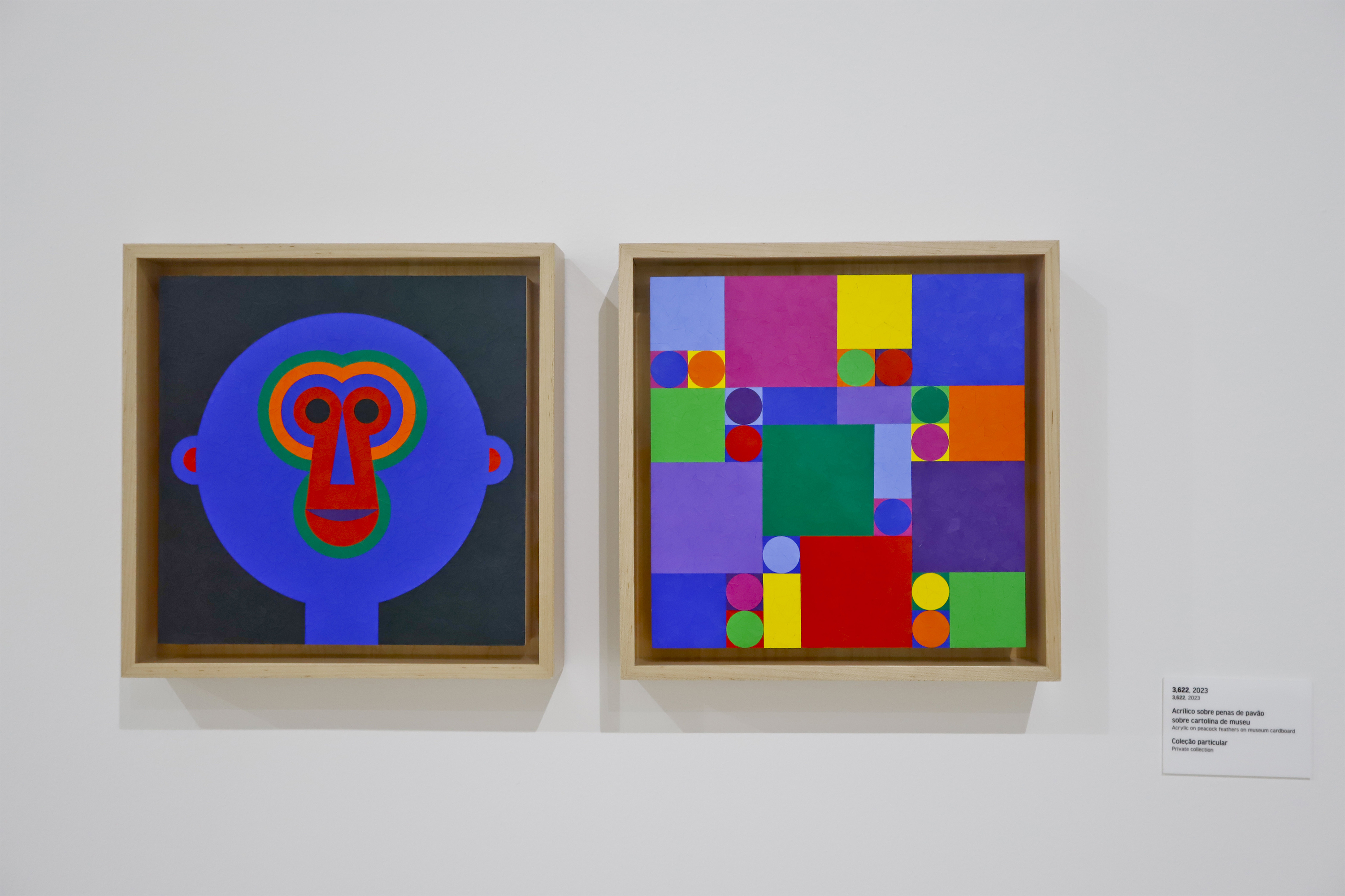 Ainda dá tempo: três exposições deixam catálogo do MON no domingo