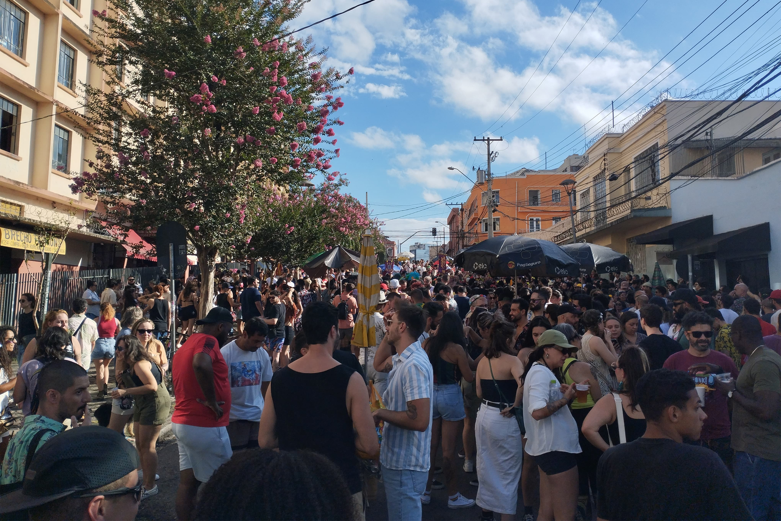 Agenda cultural do Paraná tem muitas festas de Carnaval, oficinas e museus abertos