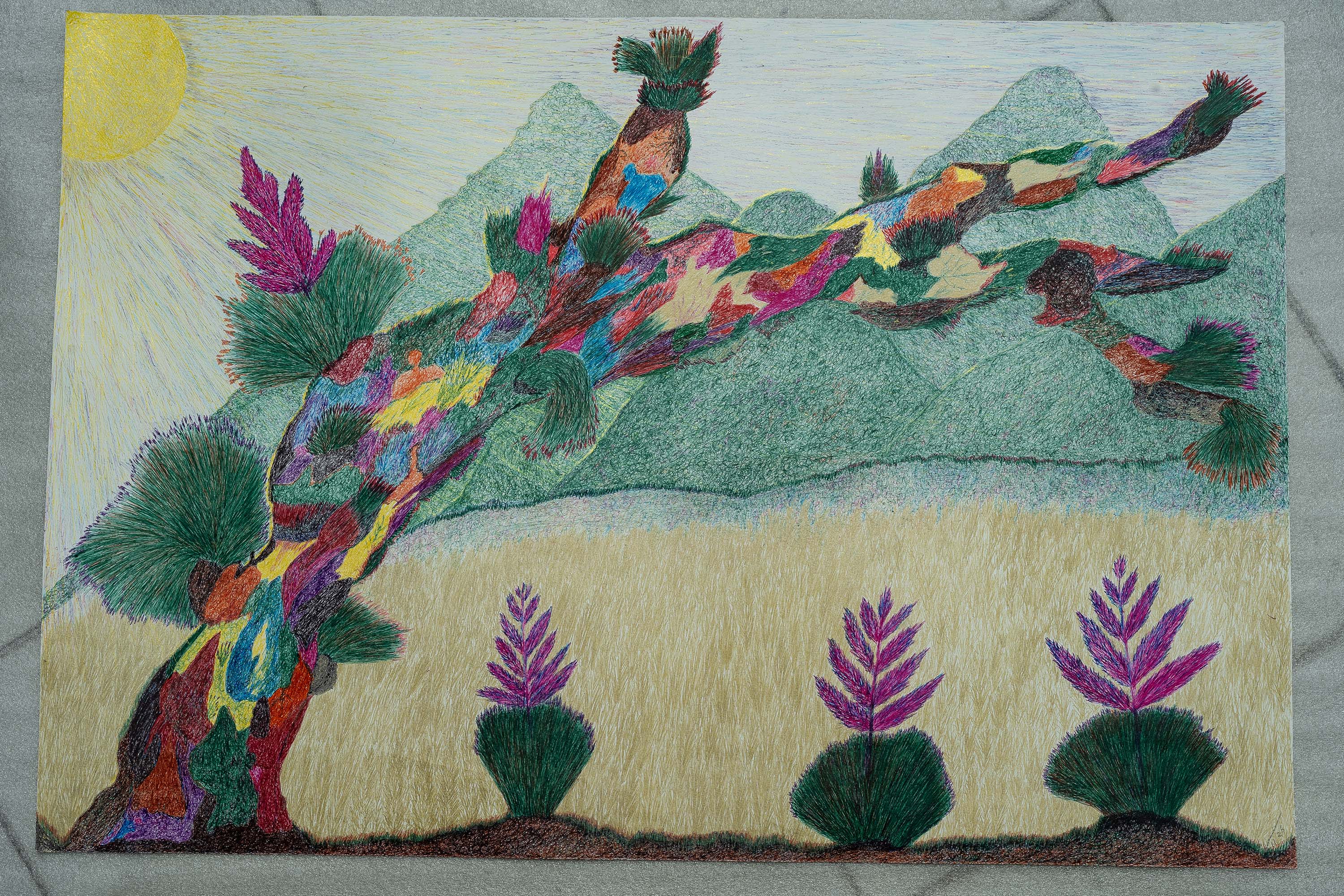 Museu Casa Alfredo Andersen assina curadoria de nova exposição de Marçal Marques