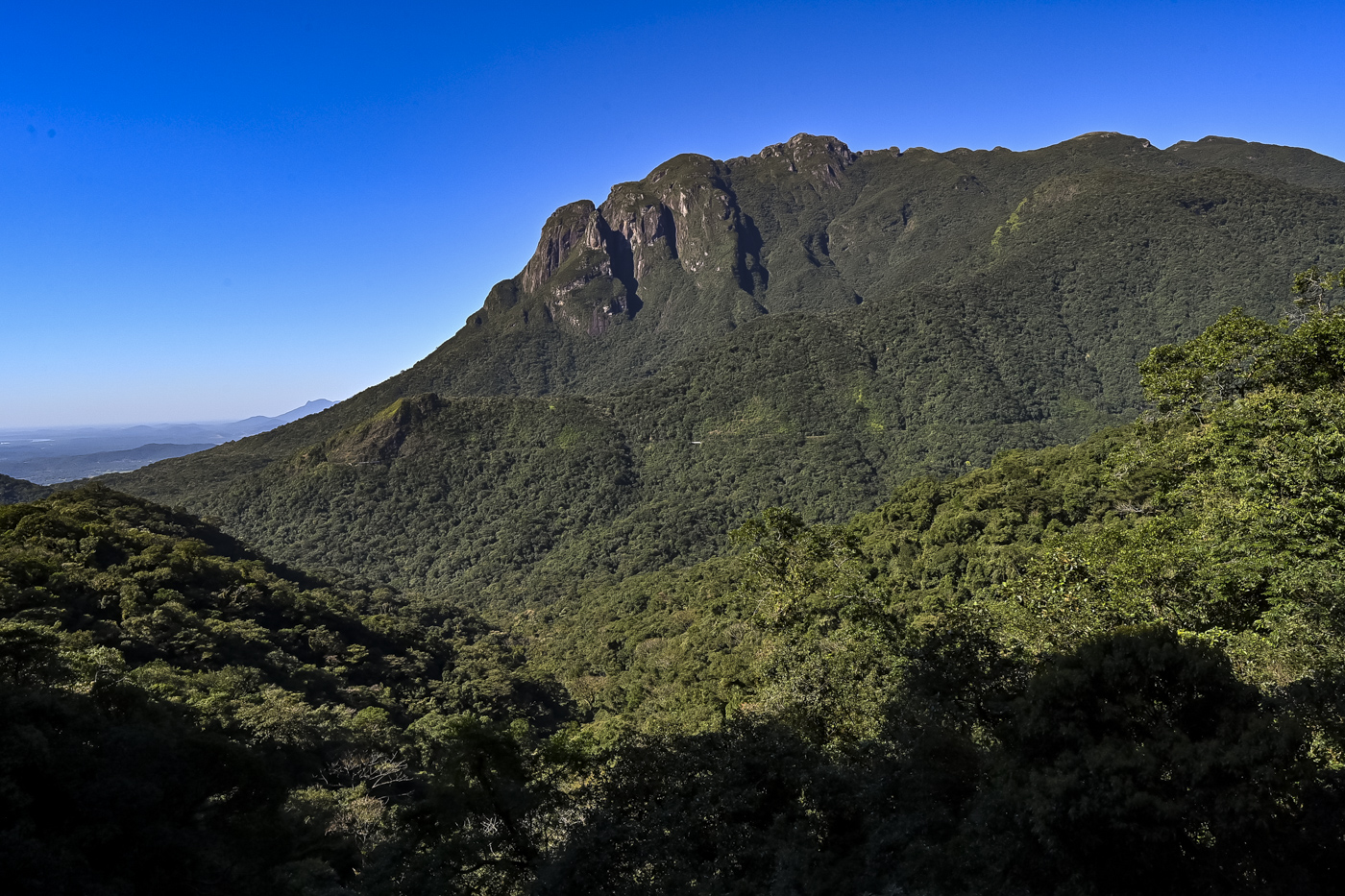 Ação educativa celebra o patrimônio cultural e natural da Serra do Mar 