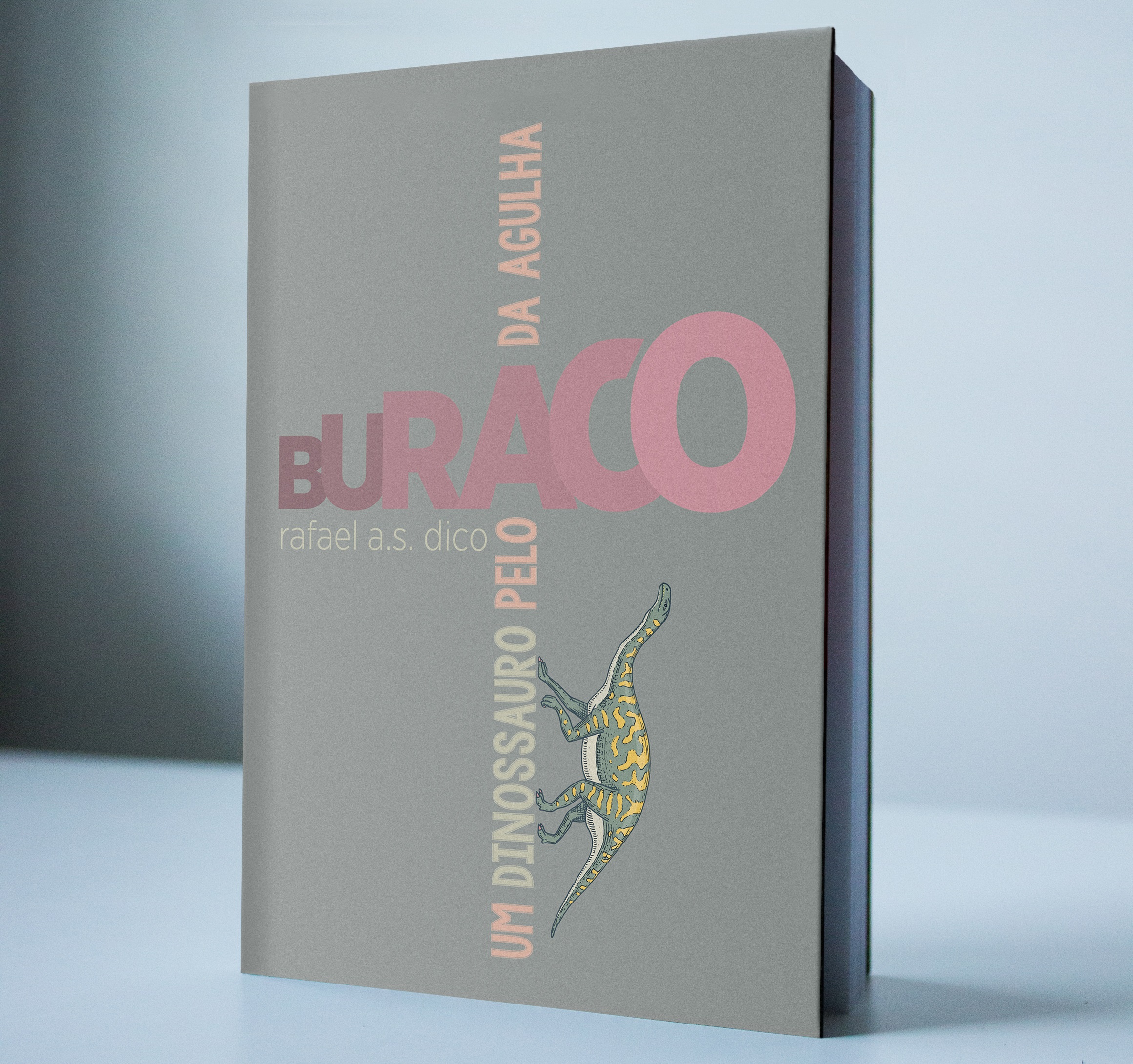 Rafael AS Dico lança livro de minicontos na Biblioteca.