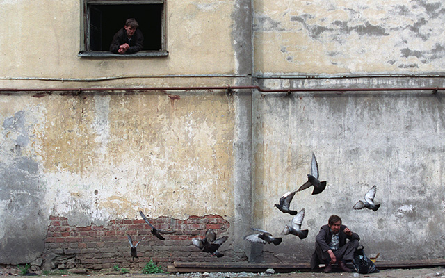 Exposição Serguei Maksimishin - o último império em cartaz no MON