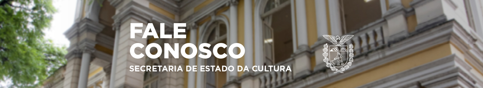 fale conosco eleição