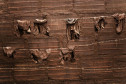 A exposição Mariana, com fotos de Christian Cravo e curadoria de Adriana Cravo, apresenta 26 fotografias impressas em fine art que retratam as memórias humanas de uma das maiores tragédias ambientais do país: o rompimento da barragem de Fundão, que vitimou fatalmente 19 pessoas e desabrigou centenas de famílias em Mariana (Minas Gerais), em 2015.