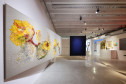 Exposição Afinidades