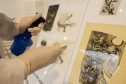 Trabalho de manutenção e restauração das obras de artes no Museu Oscar Niermeyer (MON).