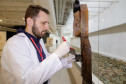 Trabalho de manutenção e restauração das obras de artes no Museu Oscar Niermeyer (MON). Na foto Humberto Imbrunísio, coordenador do setor de Conservação e Restauro do MON.