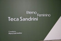 Exposição “Eterno Feminino”, da artista Teca Sandrini, entra na reta final no MON