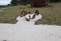 Parque Estadual de Vila Velha vira museu a céu aberto com projeto do MON