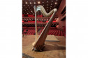 Orquestra Sinfônica do Paraná recebe nova harpa da marca italiana Salvi Harps