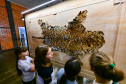 Patrimônio, memória e descoberta: 200 alunos visitam o Museu Satélite MUPA Pato Branco