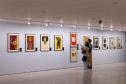 Exposição “Sonhos de Cinema: Arte para a Sétima Arte” fica até este domingo no MON