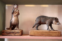Arte e natureza: Museu Casa Alfredo Andersen inaugura mostra Bichos do Paraná