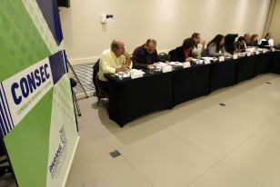 Reunião presencial do CONSEC em 2019