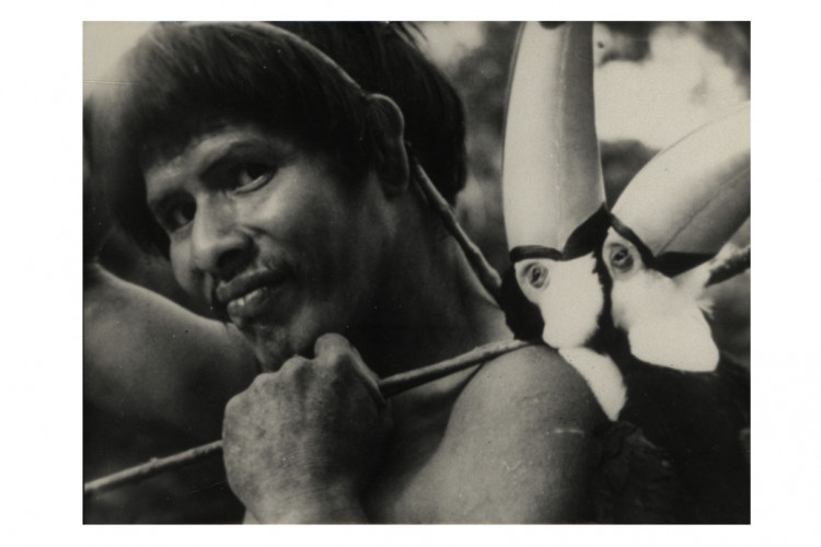 Documentação sobre povo Xetá vira livro -