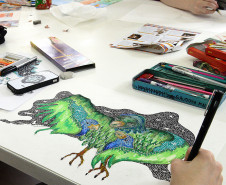 Os desenhos devem ser criados de próprio punho em técnica livre, como grafite, lápis de cor, lápis aquarelado, aquarela, giz de cera, giz pastel, canetas hidrográficas, entre outros.