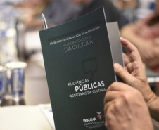 Resultado das Audiências Públicas de Cultura é tema da última reunião do CONSEC