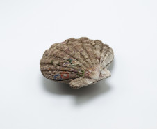 Concha de um bivalve marinho Nodipecten nodosus (Linnaeus, 1758), uma espécie de molusco também conhecido como vieira, originário de Matinhos, litoral do Paraná. Coleção Lange de Morretes. Acervo Museu Paranaense.