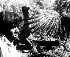 Mpko (foto do kozák). Etnia Xetá. Urubu utilizado em ritual, década de 1950. Coleção Vladimir Kozák. Acervo Museu Paranaense. Foto de Vladimir Kozák.