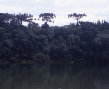 Paisagem em Vila Velha nos Campos Gerais