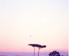 Paisagem Paranaense com Pôr do Sol e Pinheiros
