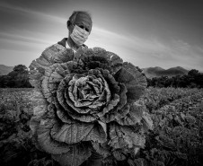 Foto vencedora do 14º Prêmio New Holland de Fotojornalismo