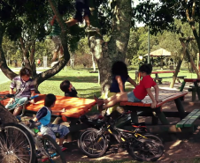 Parana Cultura Dia das Crianças