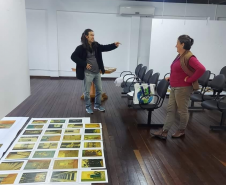 Montagem da exposição Iluminuras de Marafigo em Telêmaco Borba