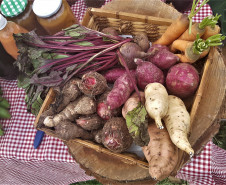 Feira de Sementes Quilombolas