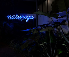 Detalha exposição Segunda Natureza, no MUPA.