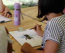 A programação de férias do Museu inclui oficinas, ações educativas, observação de abelhas e contação de histórias. 