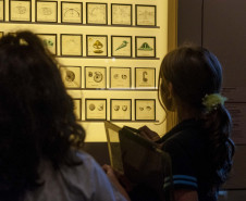 A programação de férias do Museu inclui oficinas, ações educativas, observação de abelhas e contação de histórias. 