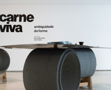 MON - Carne Viva - Ambiguidade da Forma