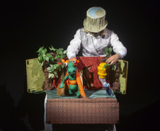 São 54 atrações, todas gratuitas, abrangendo Teatro de Marionetes, Formas Animadas, Fantoches e Teatro de Sombras -