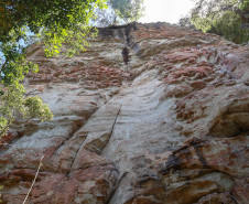 Cervos, araucárias e humanos: a pré-história do Paraná está nas paredes de Piraí do Sul