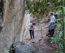 Cervos, araucárias e humanos: a pré-história do Paraná está nas paredes de Piraí do Sul