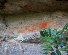 Cervos, araucárias e humanos: a pré-história do Paraná está nas paredes de Piraí do Sul