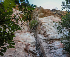 Cervos, araucárias e humanos: a pré-história do Paraná está nas paredes de Piraí do Sul